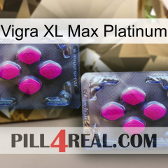 Vigra Xl Max Platinum 01